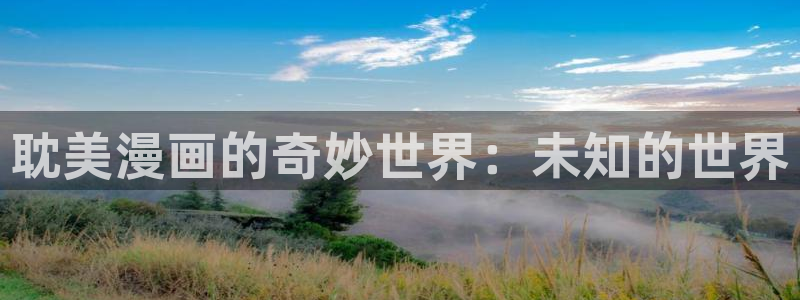 洗濯屋奇漫屋动漫：耽美漫画的奇妙世界：未知的世界